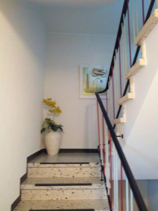 Ferienwohnung Marita Rietberg Exteriör bild